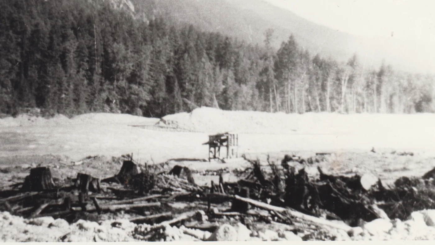 Archival land-clearing image featured in Displaced.