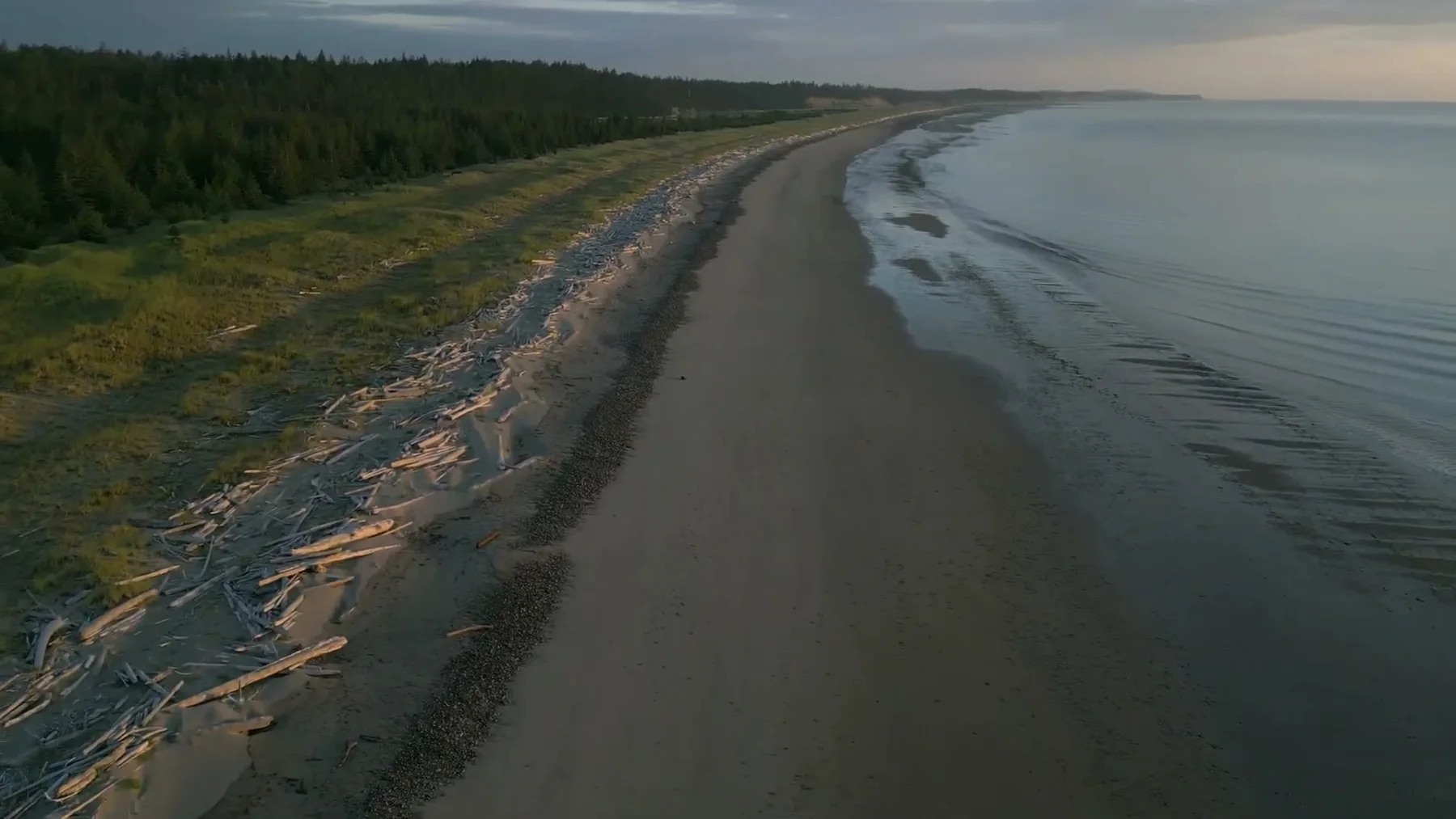A long beach and forested shoreline stretch beside Haida House at Tllaal.