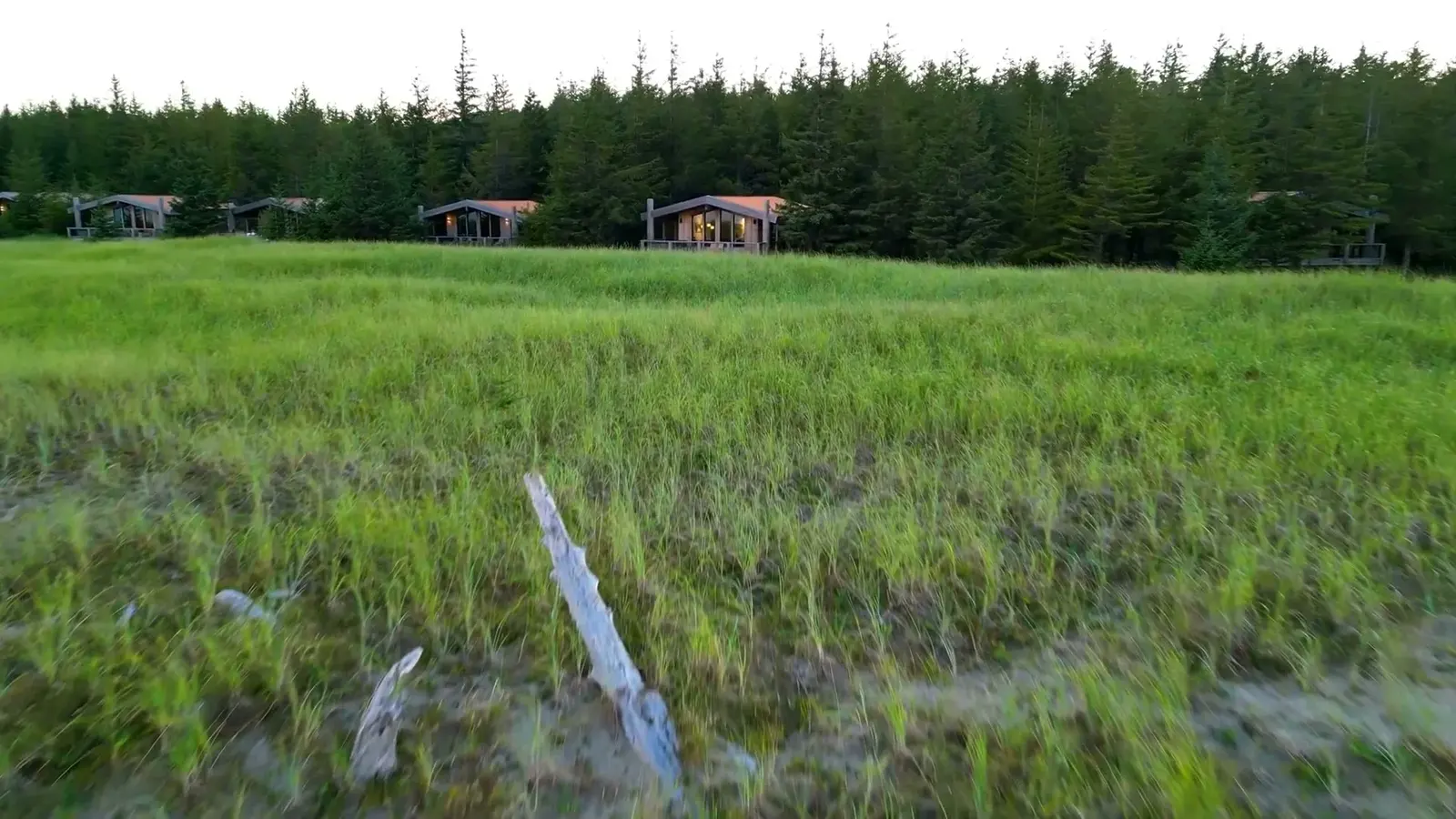 Haida House cabins line the edge of a broad green meadow.