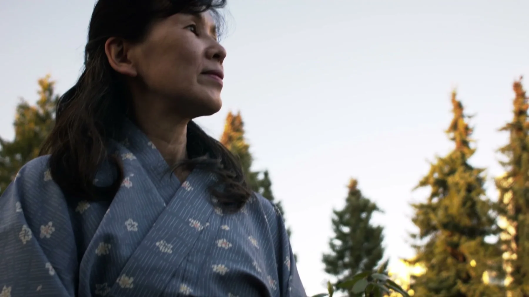 A woman in a blue patterned kimono stands beneath evergreen trees.