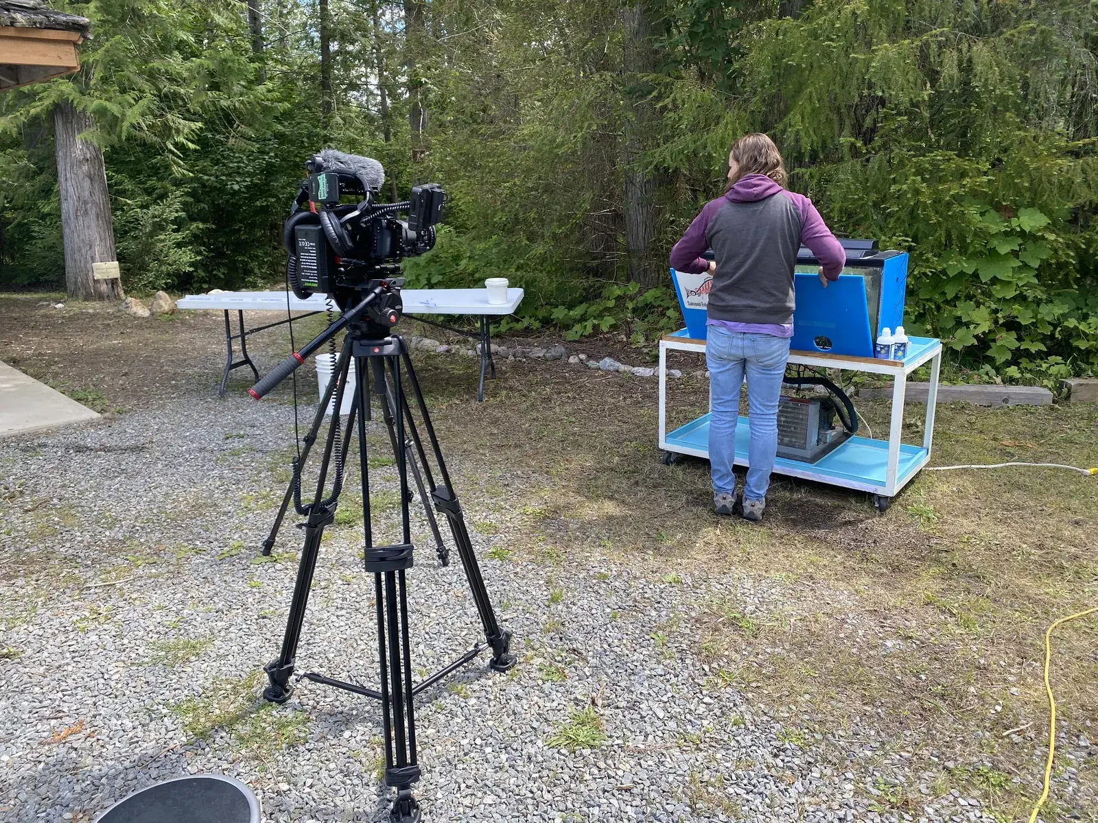 Camera filming a fish tank demonstration during a Kingfisher salmon lifecycle lesson.