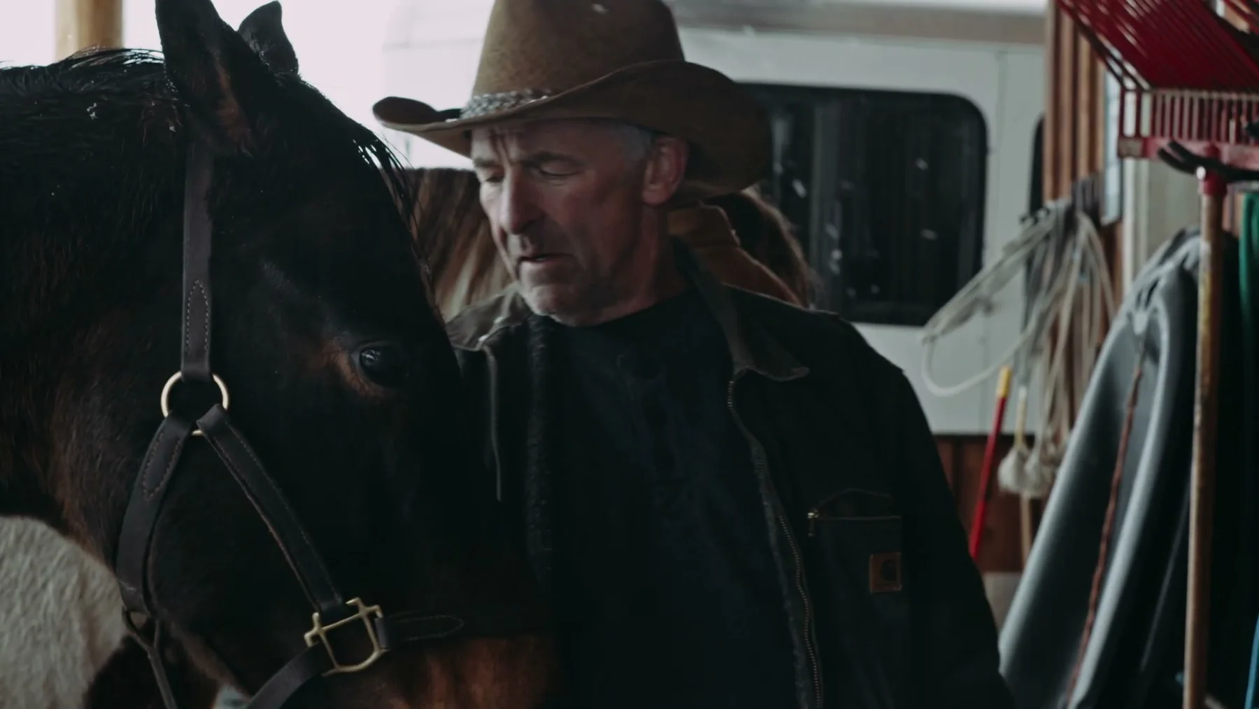 An older man in a cowboy hat stands beside a dark horse in a stable.