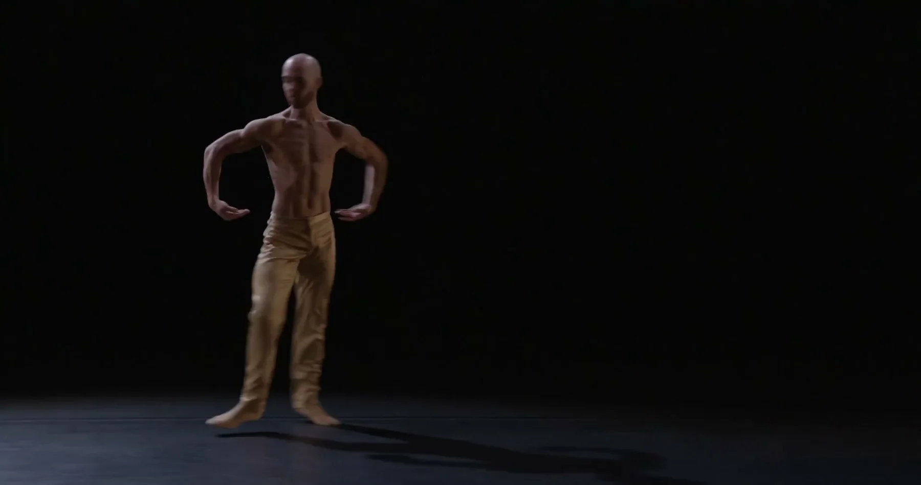 A solo dancer stands beneath a narrow pool of stage light.