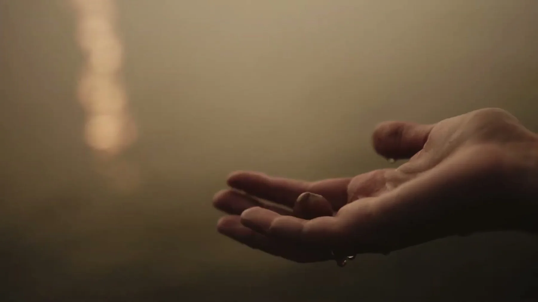 An open hand reaches into warm haze above the lake.